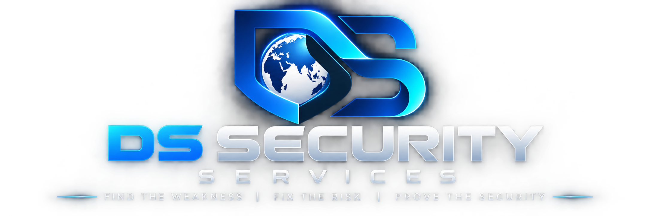 dscybersecurity.com