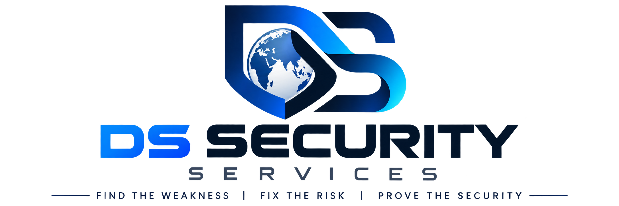 dscybersecurity.com